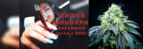 СК Няндома