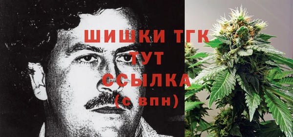 соль ск Алексин