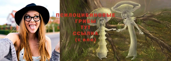 молекула духа Алексеевка